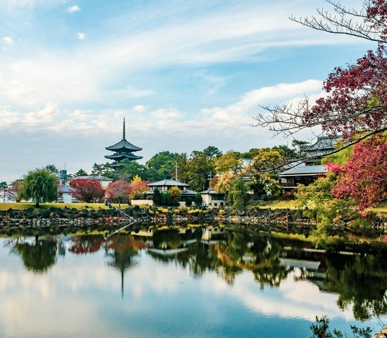 Paysage en bord d'eau avant en feuillage en premier plan à Nara, Japon