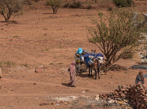 Souvenir du voyage de Jean, Maroc