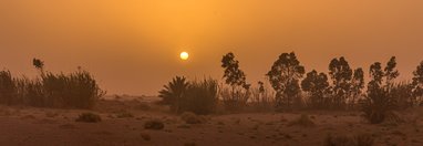Souvenir du voyage de Jean, Maroc