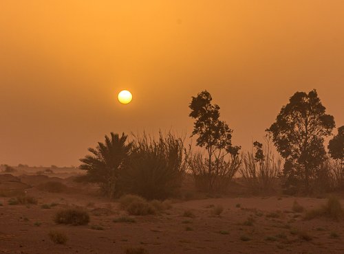 Souvenir du voyage de Jean, Maroc
