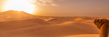 Souvenir du voyage de Jean, Maroc