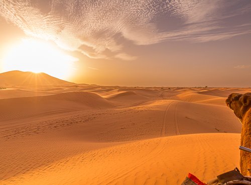 Souvenir du voyage de Jean, Maroc