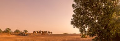 Souvenir du voyage de Jean, Maroc