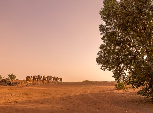 Souvenir du voyage de Jean, Maroc