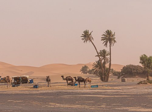 Souvenir du voyage de Jean, Maroc