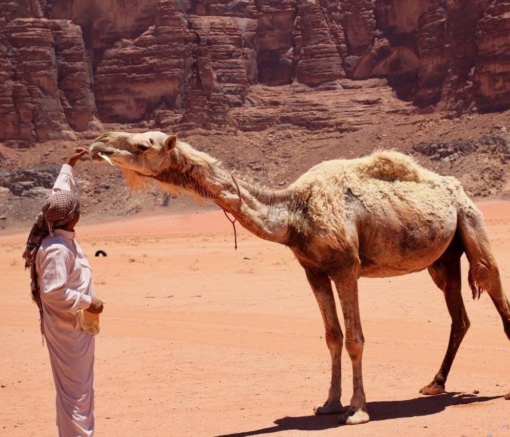 Jordanie Wadi Rum
