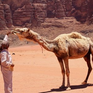 Jordanie Wadi Rum