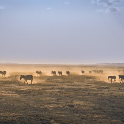 kenya amboseli parc national