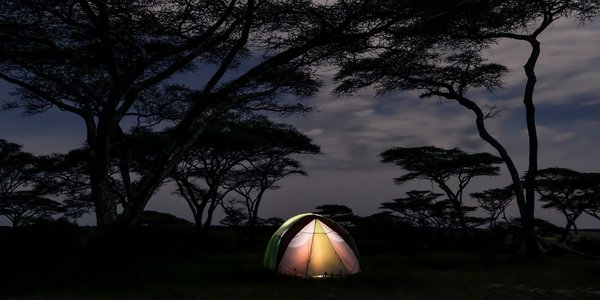 kenya camping savane