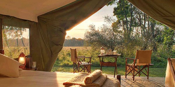 kenya hammerkop migration camp