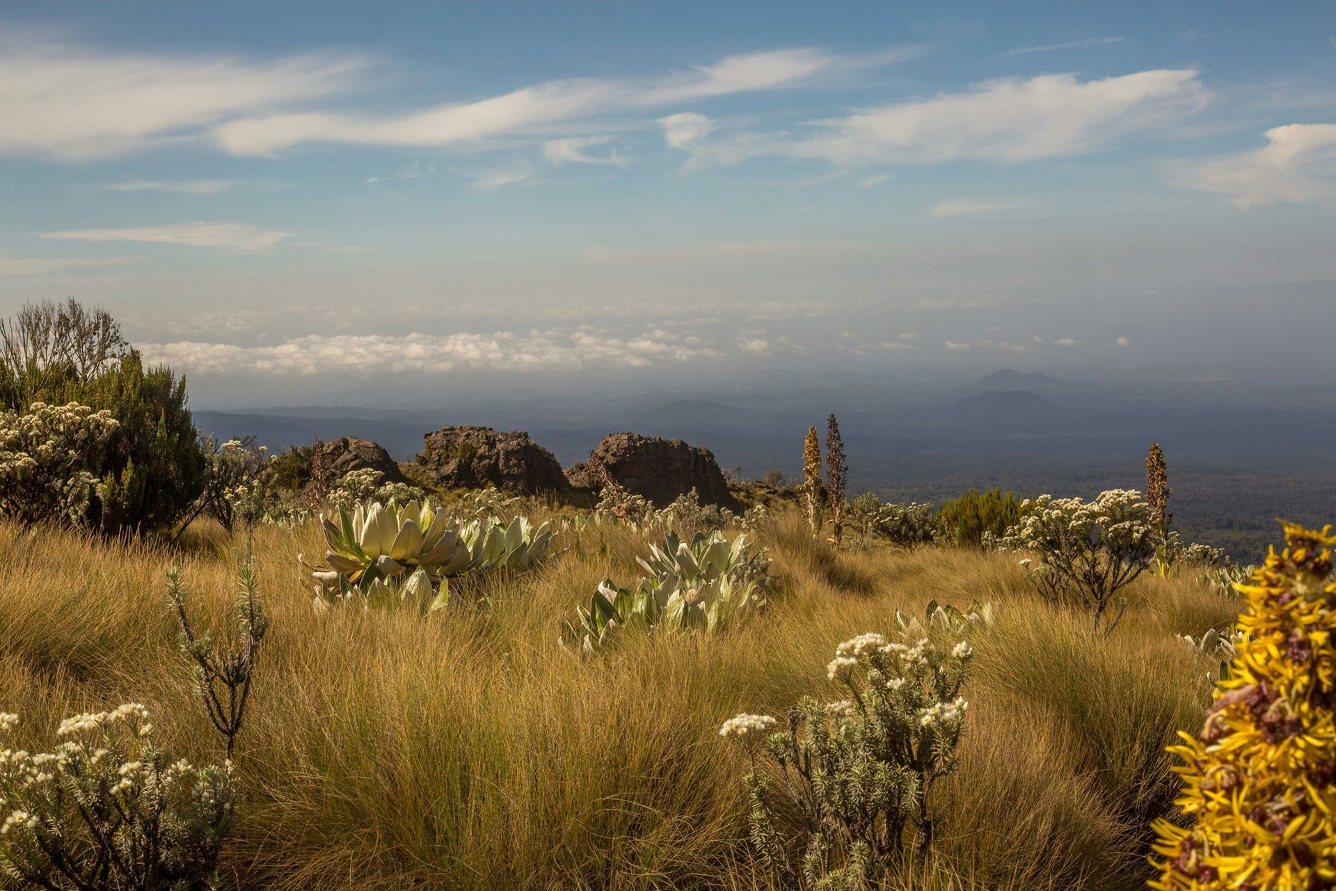 Le Mont Kenya, Kenya