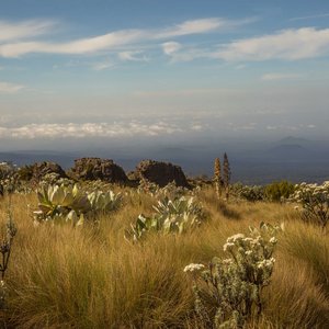 Le Mont Kenya, Kenya