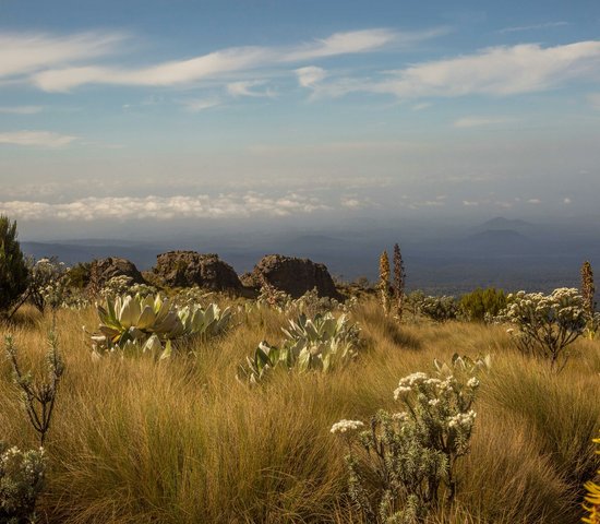 Le Mont Kenya, Kenya