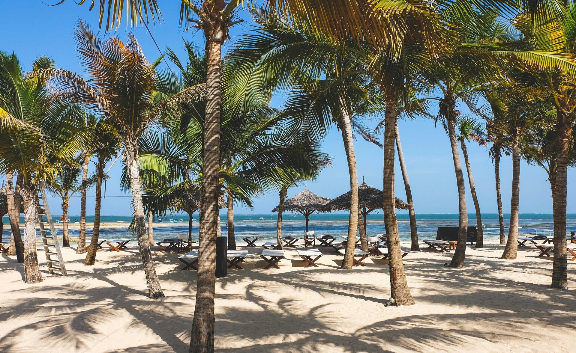 Plage, Malindi, Kenya