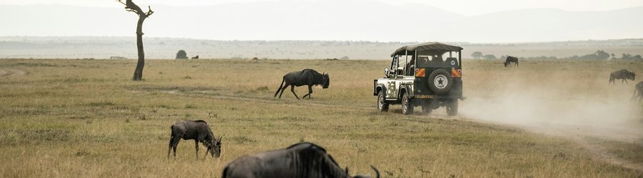 Safari Kenya, Masai Mara