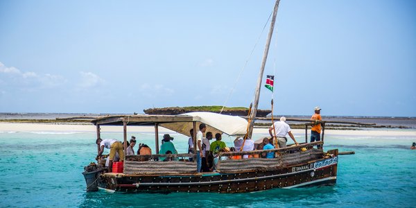 kenya wasini island parc national marin kisite