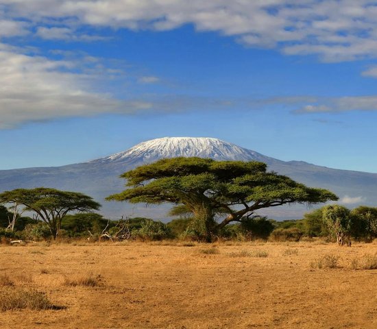 Kilimandjaro