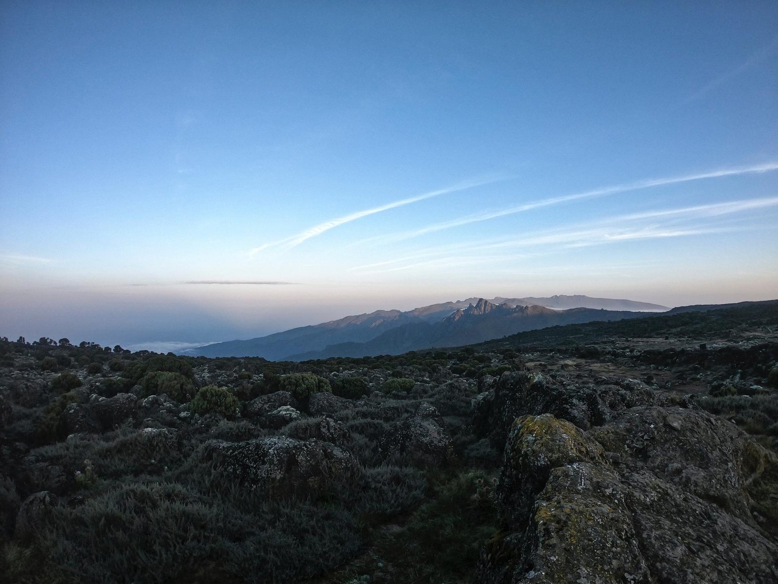 kilimanjaro