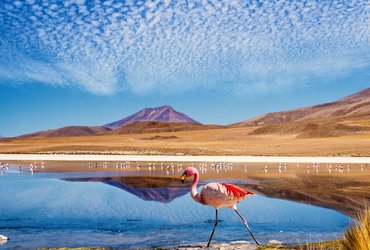 La Bolivie du Salar d'Uyuni au lac Titicaca