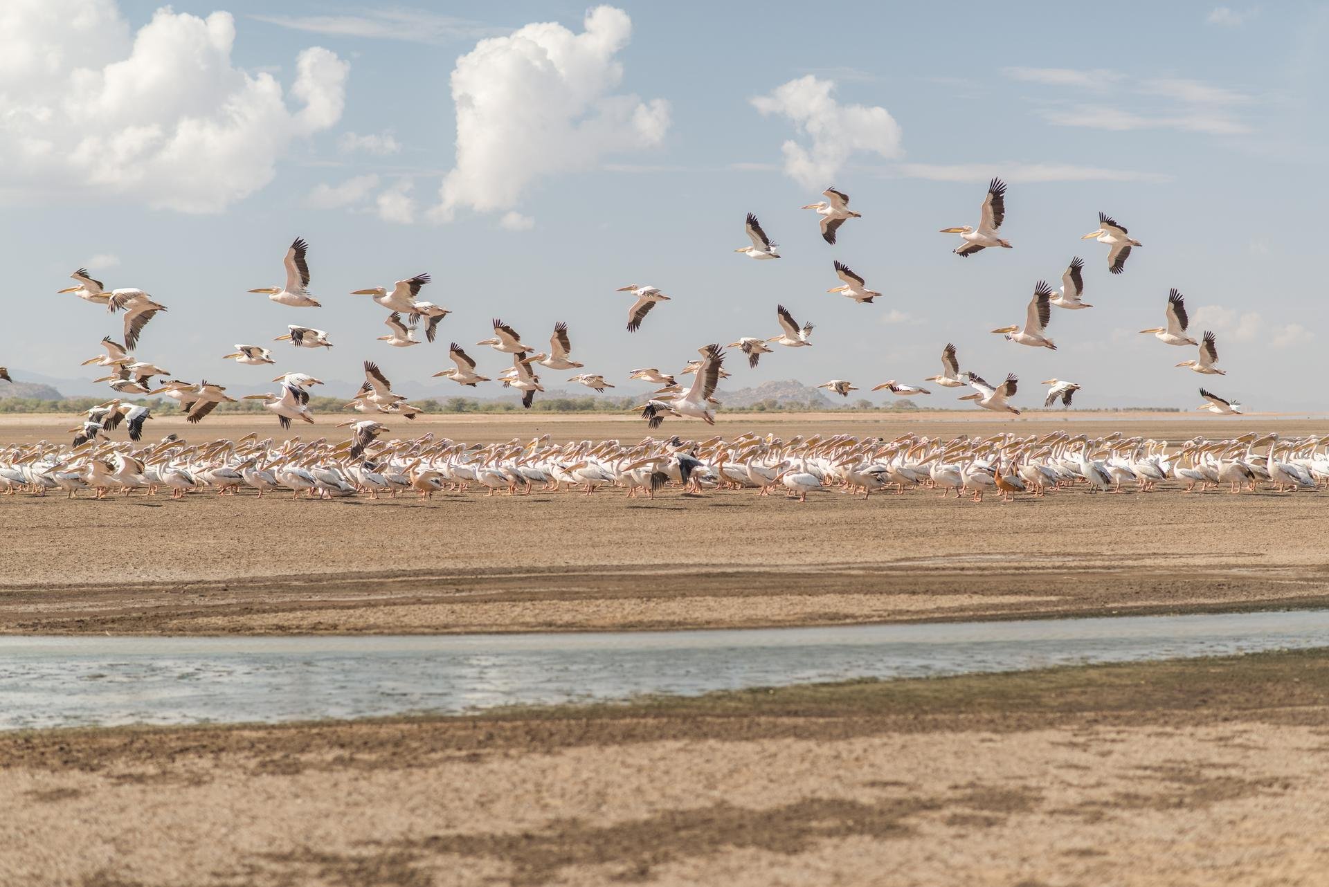 Lac Eyasi   Tanzanie