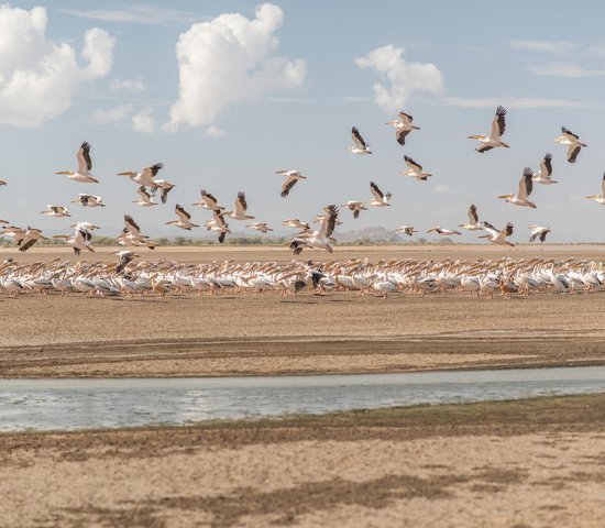 Lac Eyasi   Tanzanie