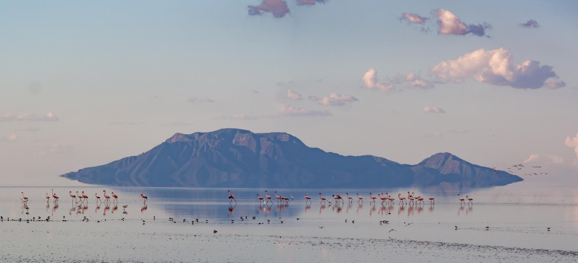 Lac Natron   Tanzanie