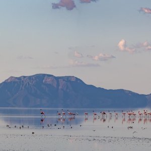 Lac Natron   Tanzanie