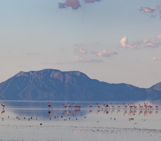 Lac Natron   Tanzanie