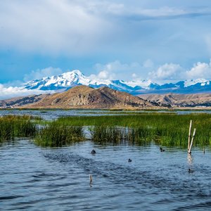 lac titicaca bolivie