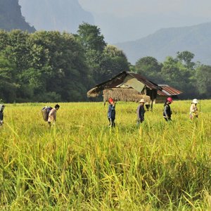 Vang Vieng, Laos