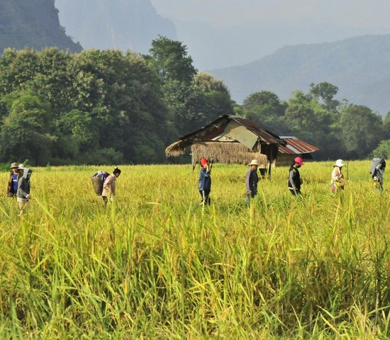 Vang Vieng, Laos