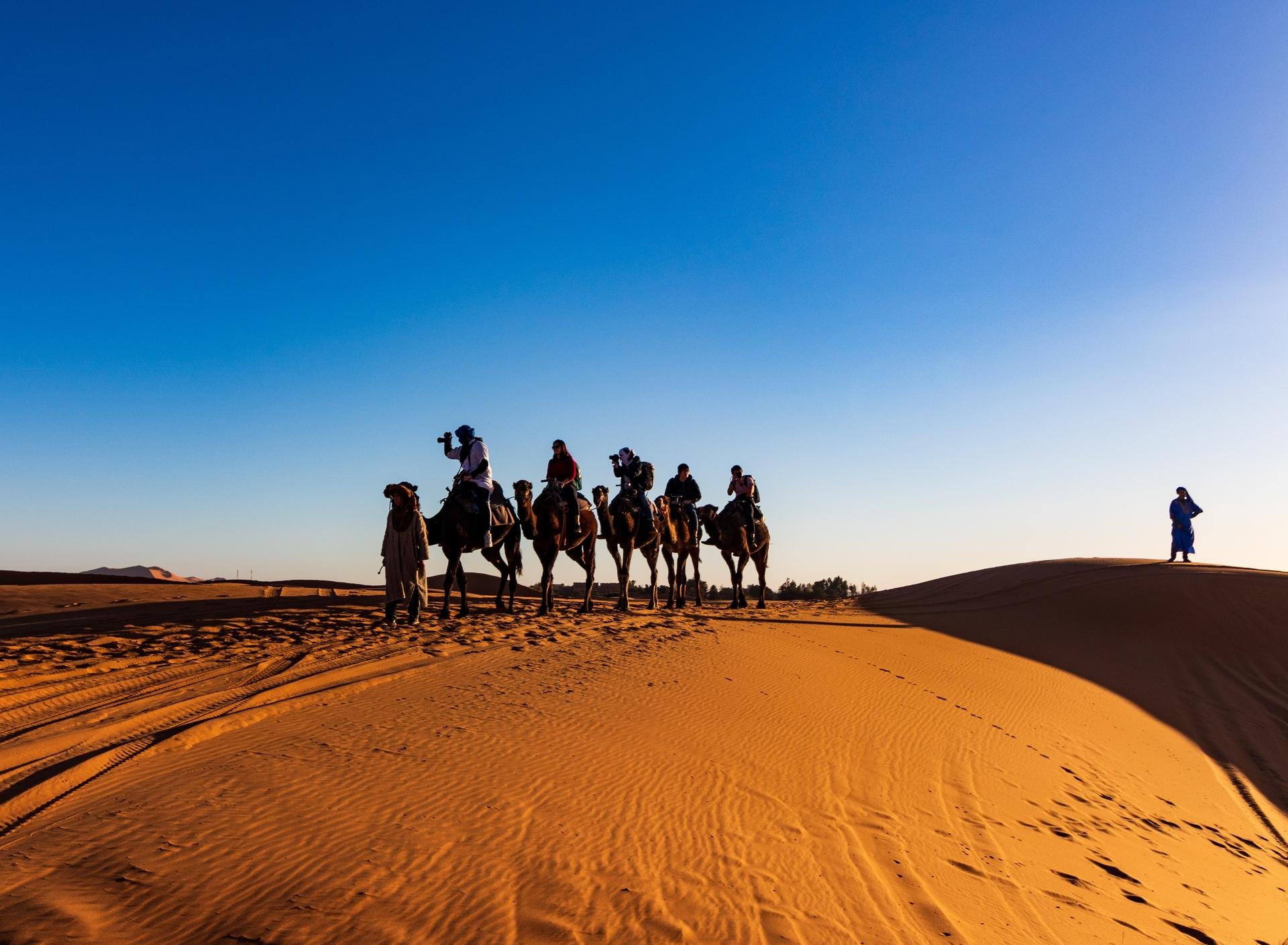 Le Maroc à dos de chameau