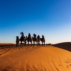 Le Maroc à dos de chameau
