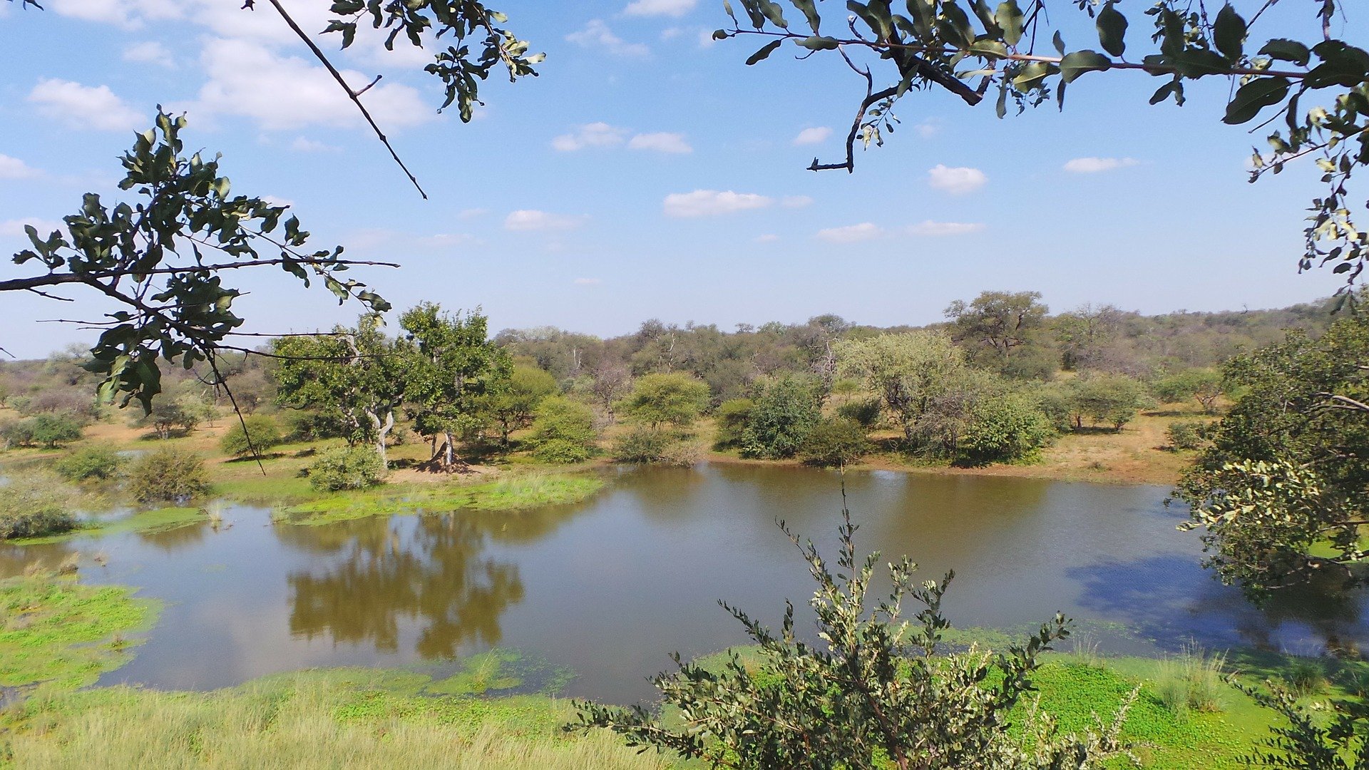 limpopo afrique du sud