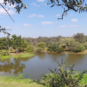 limpopo afrique du sud