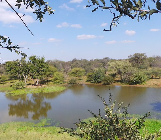 limpopo afrique du sud