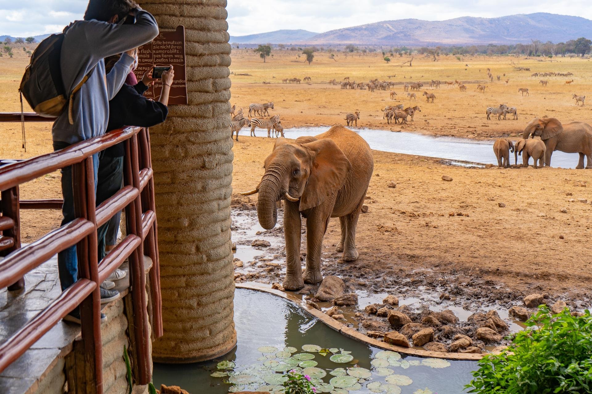 Lodge au Kenya