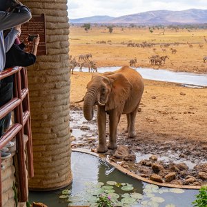 Lodge au Kenya