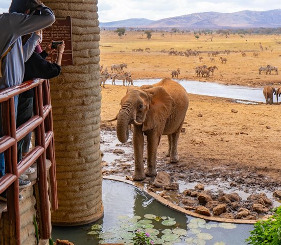 Lodge au Kenya