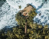 Manzanillo au Costa Rica