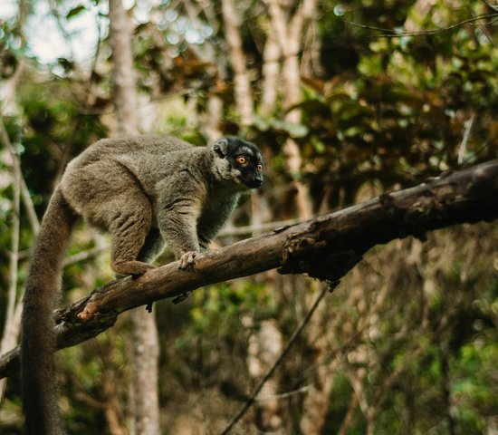 Andasibe, Madagascar