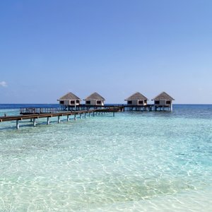 maldives