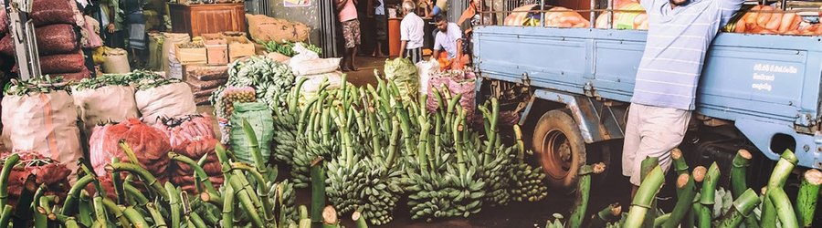 marche sri lanka