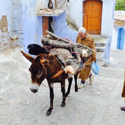 maroc chefchaouen