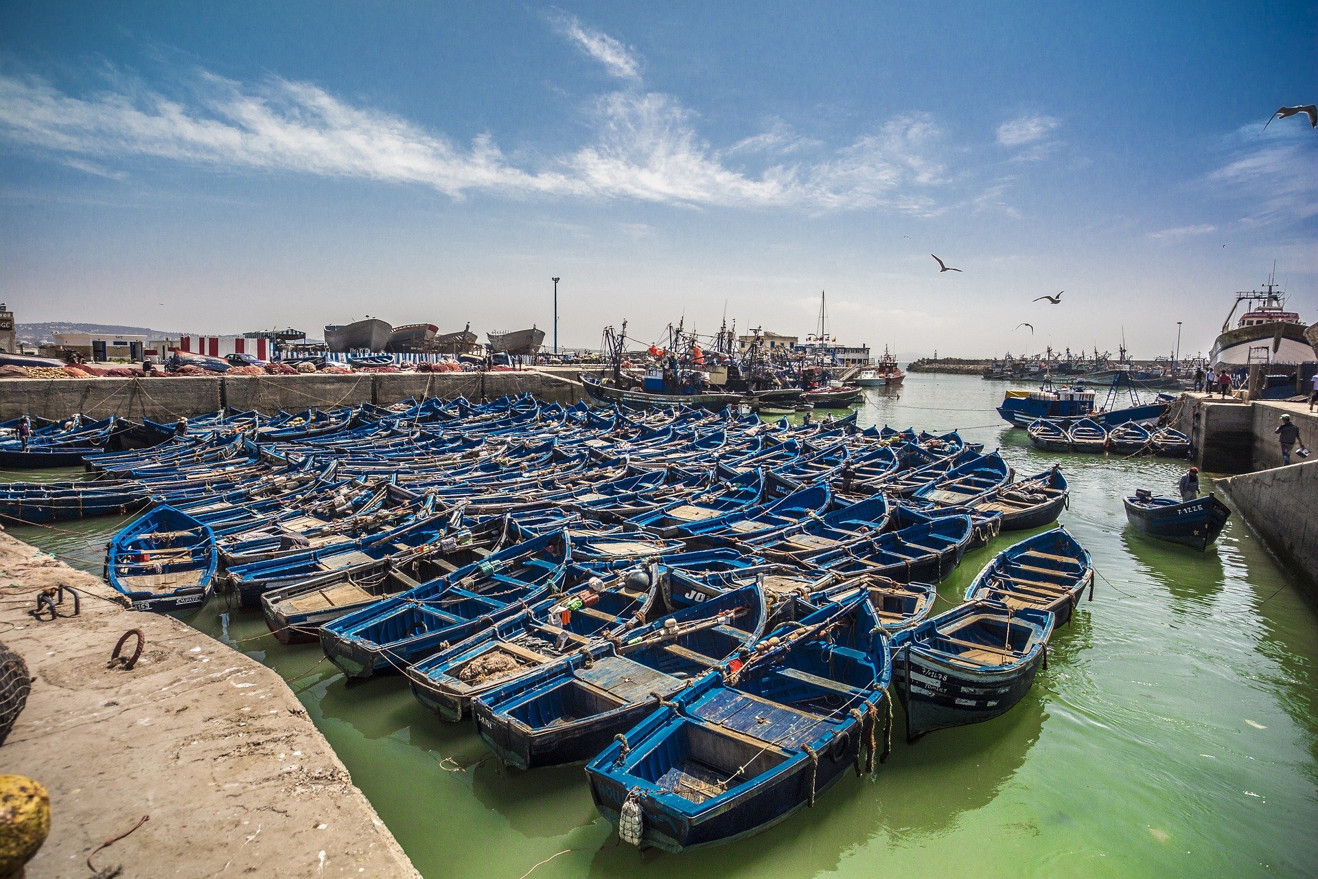 maroc essaouira