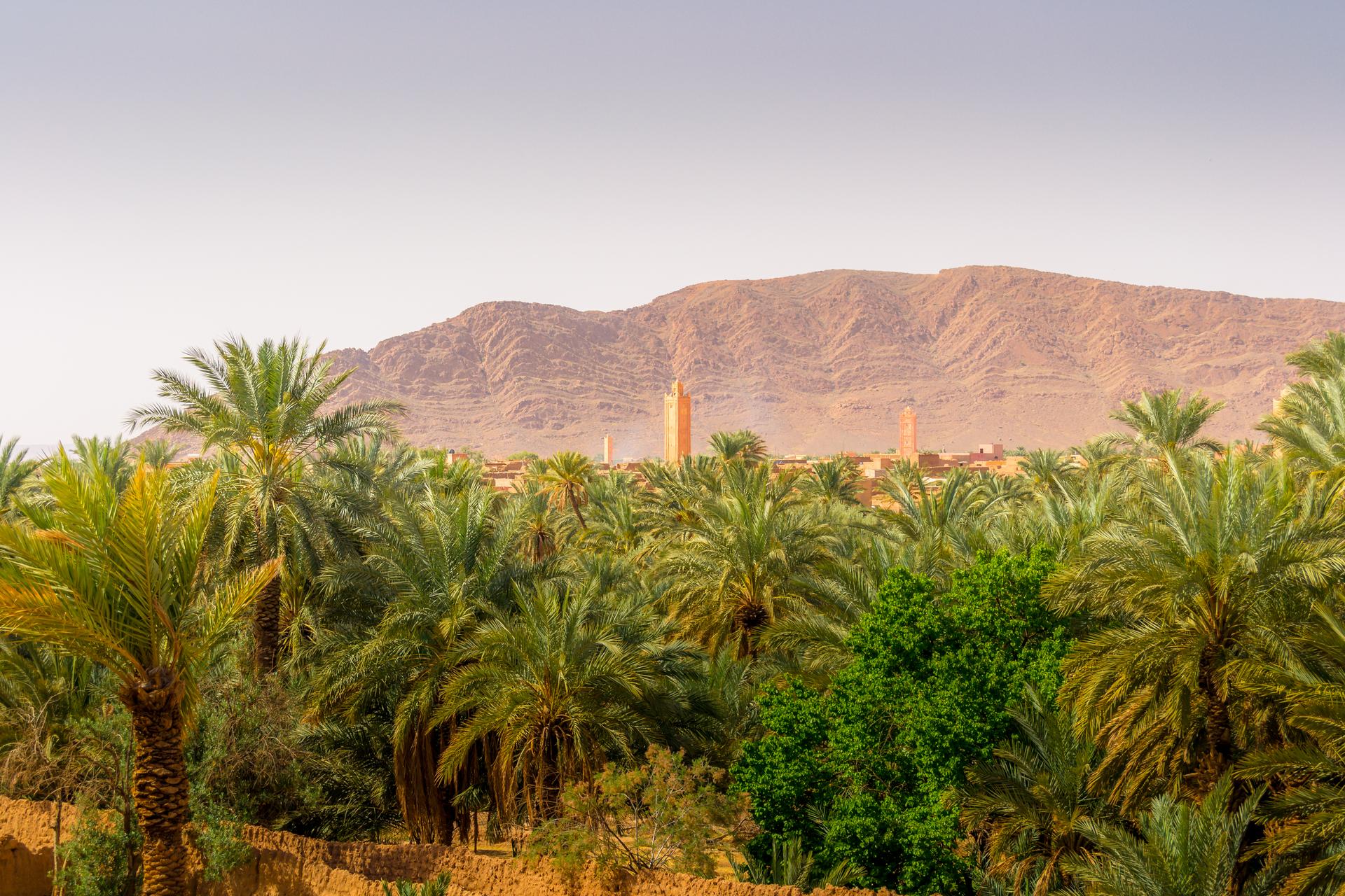 Trésors du Maroc oriental