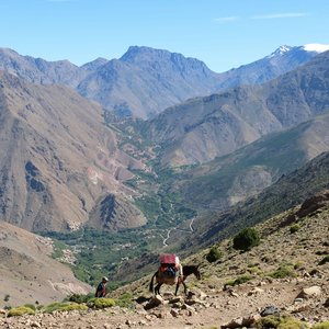 Montagnes du haut Altlas, Imlil, Maroc