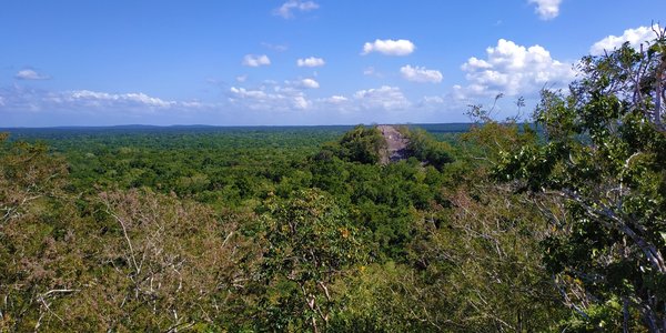 mexique calakmul