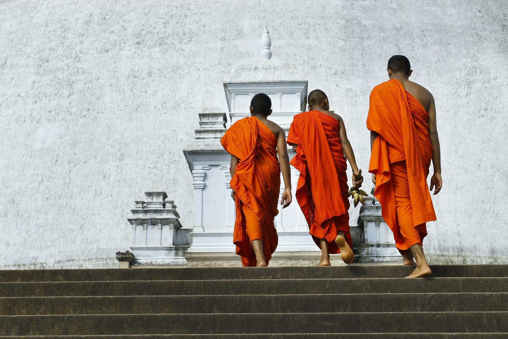 Moines dans le parc historique d'Anuradhapura