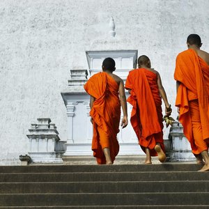 Moines dans le parc historique d'Anuradhapura